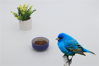 Kedi köpek mama kasesi 8cm Lacivert Seramik Yüksek Kalite BuShop