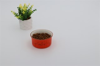 Kedi köpek mama kasesi Tekli 10cm  Porselen  Yüksek Kalite Ateş Böceği Serisi