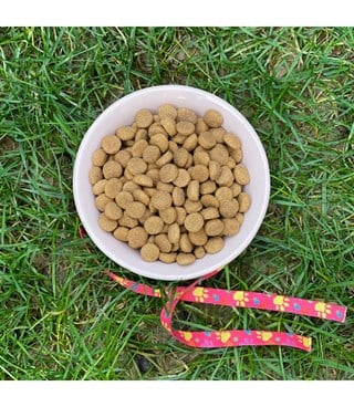 Kedi köpek mama kasesi Tekli 14,5cm Seramik Yüksek Kalite Flamingo Serisi