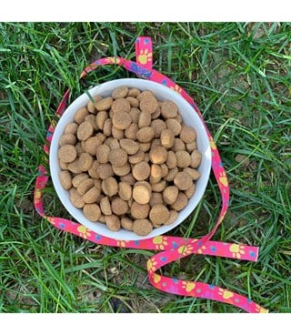 Kedi köpek mama kasesi Tekli 14,5cm Seramik Yüksek Kalite Şeker Serisi