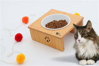 Kedi Köpek Mama Ve Su Kabı-Seramik Tekli Kase Hediyeli-Kontraplak Ahşap-BuShop Yumak Preminyum 