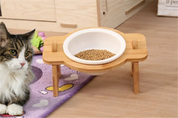 Kedi Köpek Mama Ve Su Kabı-Seramik Bir Adet Kase Hediyeli-Gerçek Ahşap-Kayın Renk-BuShop Mişa Preminyum 