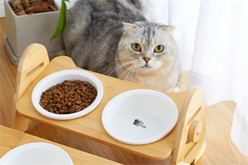 Kedi Köpek Mama Ve Su Kabı-Melamin İki Adet Kase Hediyeli-Gerçek Ahşap-Kayın Renk-BuShop Alfa 