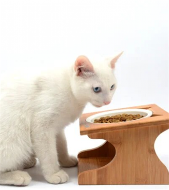 Kedi Köpek Mama Ve Su Kabı-Seramik Tek Kase Hediyeli-Kontrplak Ahşap-BuShop Katya Preminyum 