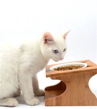 Kedi Köpek Mama Ve Su Kabı-Kırılmaz Melamin Tek Kase Hediyeli-Kontrplak Ahşap-BuShop Katya 