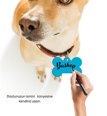 Kedi Köpek Tasma Ucu ve Künyesi Özel Tasarım Kemikli Mavi Bushop Modeli