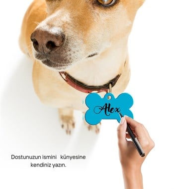 Kedi Köpek Tasma Ucu ve Künyesi Özel Tasarım Kemikli Mavi Bushop Modeli