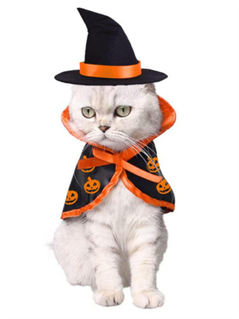 Kedi Kostümü, Kedi Elbisesi, Kedi Kıyafeti ,Şapkalı Takımı  Kumaş,halloween Temalı, M Beden 