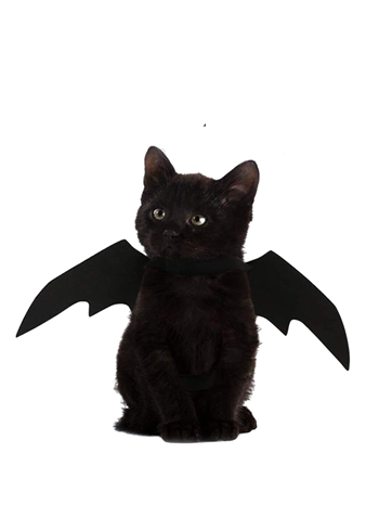 Kedi Kostümü, Kedi Elbisesi, Kedi Kıyafeti ,Kedi kanatlı Yarasa Modeli  Kumaş,halloween ,M 