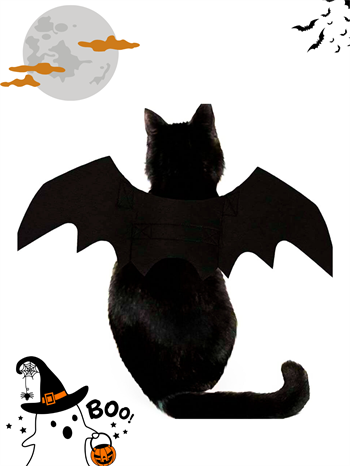 Kedi Kostümü, Kedi Elbisesi, Kedi Kıyafeti ,Kedi kanatlı Yarasa Modeli  Kumaş,halloween ,M 