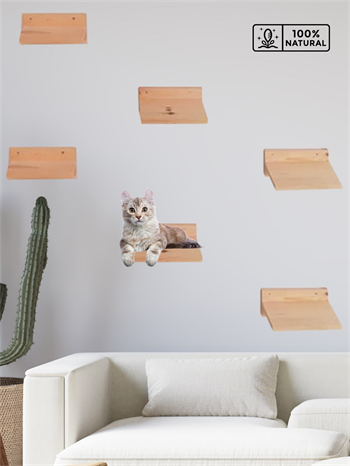 kedi merdiveni, kedi tırmalaması, Kedi Tırmanma Duvar Merdiveni, Doğal 3 Parça, BuShop Eco Raf 