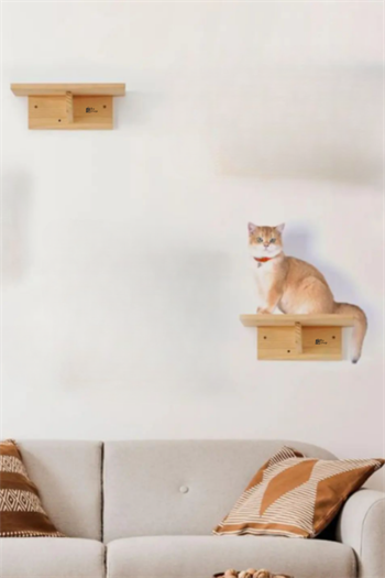 kedi merdiveni, kedi tırmalaması, Kedi Tırmanma Duvar Merdiveni, Doğal 2 Parça, BuShop