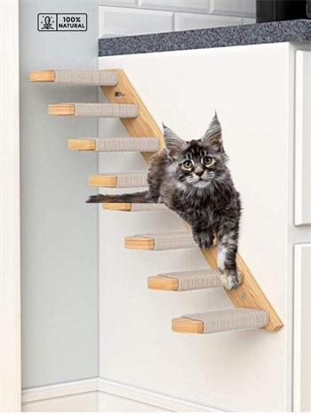 Kedi merdiveni, Kedi tırmanma merdiveni, Doğal Ahşap İkili Merdiven Seti, Sağ Model Beyaz