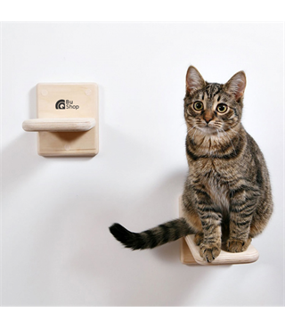 Kedi  Merdiveni  Tırmanma  ve Atlama  Doğal Ahşap Elit Tasarım BuShop Duvara için Monte Üçlü set