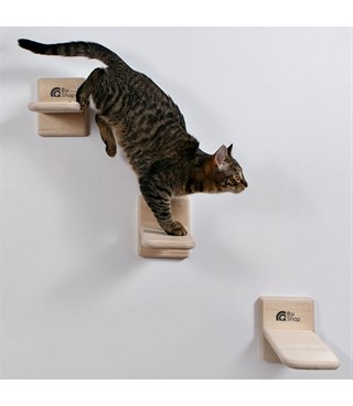 Kedi  Merdiveni  Tırmanma  ve Atlama  Doğal Ahşap Elit Tasarım BuShop Duvara için Monte Üçlü set
