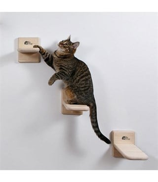 Kedi  Merdiveni  Tırmanma  ve Atlama  Doğal Ahşap Elit Tasarım BuShop Duvara için Monte Üçlü set