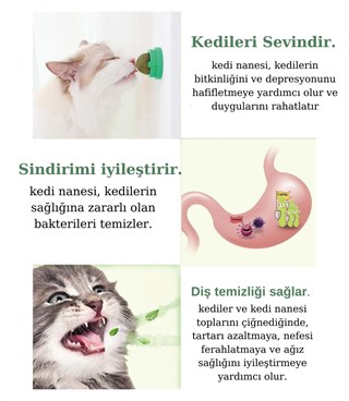 Kedi nanesi Kedi Oyuncağı 100% Doğal BuShop