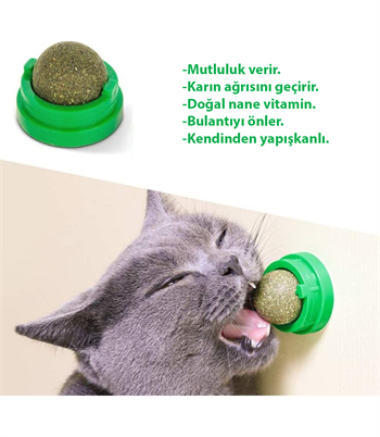 Kedi nanesi Kedi Oyuncağı 100% Doğal BuShop