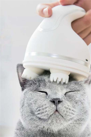 Kedi Otomatik Masaj Cihazı, Kedi 3D Kafa Masajı, Evcil Hayvan Akıllı USB Şarjlı Evcil Hayvan Masaj Aleti