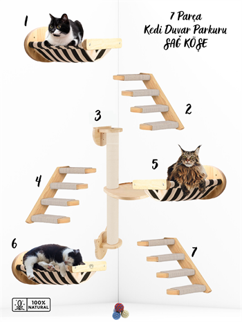 Kedi Parkuru, Kedi Evi, Kedi Yatağı, Kedi Duvar Evi, Kedi Duvar Rafı, Lüks 7 Parça Kedi Parkuru Beyaz Sağ