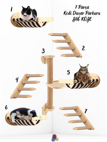 Kedi Parkuru, Kedi Evi, Kedi Yatağı, Kedi Duvar Evi, Kedi Duvar Rafı, Lüks 7 Parça Kedi Parkuru Sağ
