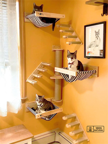 Kedi Parkuru, Kedi Evi, Kedi Yatağı, Kedi Duvar Evi, Kedi Duvar Rafı, Lüks 7 Parça Kedi Parkuru Sağ