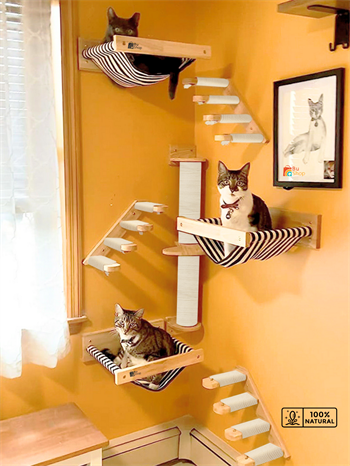 Kedi Parkuru, Kedi Evi, Kedi Yatağı, Kedi Duvar Evi, Kedi Duvar Rafı, Lüks 7 Parça Kedi Parkuru Beyaz Sağ