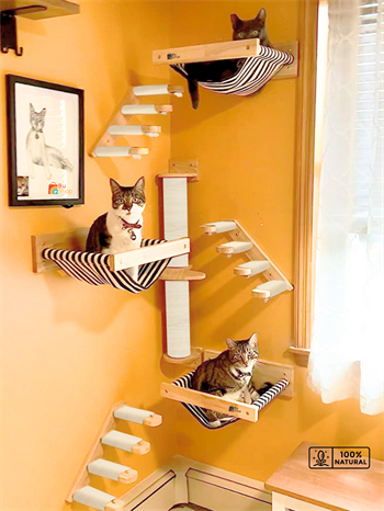 Kedi Parkuru, Kedi Evi, Kedi Yatağı, Kedi Duvar Evi, Kedi Duvar Rafı, Lüks 7 Parça Kedi Parkuru Beyaz Sol