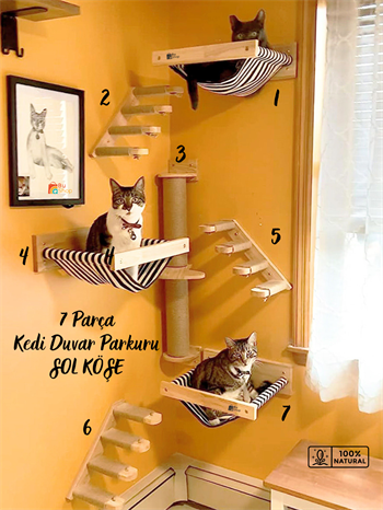 Kedi parkuru, Kedi evi, Kedi yatağı, Kedi Duvar Evi, Kedi Duvar Rafı, Muhteşem 7 parça kedi parkuru , Bushop Sol Set