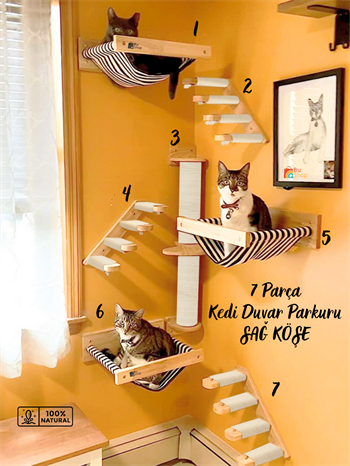 Kedi Parkuru, Kedi Evi, Kedi Yatağı, Kedi Duvar Evi, Kedi Duvar Rafı, Lüks 7 Parça Kedi Parkuru Beyaz Sağ