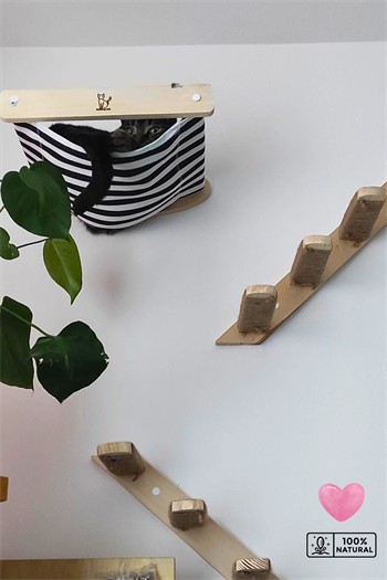 Kedi parkuru, Kedi evi, Kedi yatağı, Kedi Duvar Evi, Kedi Duvar Rafı, Muhteşem 5 parça kedi parkuru