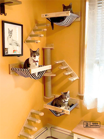 Kedi parkuru, Kedi evi, Kedi yatağı, Kedi Duvar Evi, Kedi Duvar Rafı, Muhteşem 7 parça kedi parkuru , Bushop Sol Set