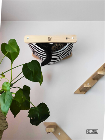 Kedi duvar parkuru Kedi Tırmalama Kedi Parkuru Kedi Evi 12 Parça Patiyol Premium