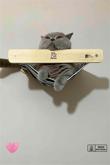 Kedi parkuru, Kedi evi, Kedi yatağı, Kedi Duvar Evi, Kedi Duvar Rafı, Muhteşem 5 parça sağ kedi parkuru set