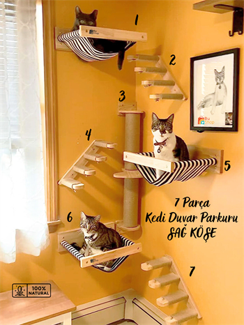 Kedi Parkuru, Kedi Evi, Kedi Yatağı, Kedi Duvar Evi, Kedi Duvar Rafı, Lüks 7 Parça Kedi Parkuru Sağ