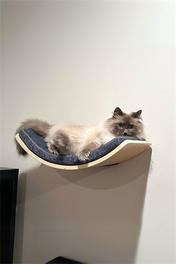 Kedi parkuru kedi yatağı kedi evi kedi duvar tırmanma oyun seti half moon modeli