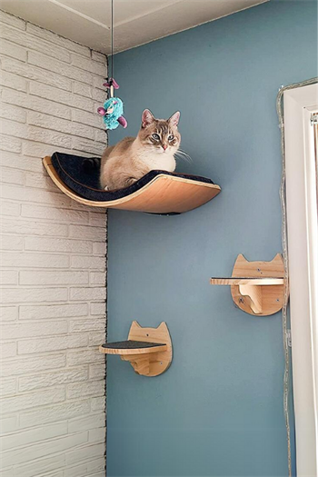 Kedi parkuru kedi yatağı kedi evi kedi duvar tırmanma oyun seti half moon modeli