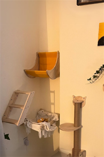 Kedi parkuru kedi yatağı kedi evi  kedi duvar tırmanma oyun moonlight seti