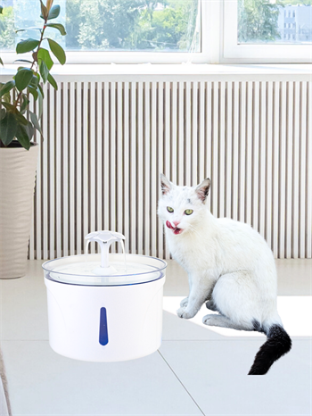 Kedi ve Köpek Mama Su Kabı - Dostlarınız için şık tasarımlı doğal,  teknolojik mama ve su kabı çeşitleri