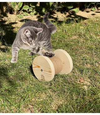Kedi Tırmalama Dönen oyuncak lüx ahşap Özel Tasarım Dixie Modeli BuShop