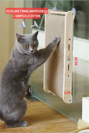 Kedi tırmalama tahtası kedi oyuncak kedi ahşap oyuncak vantuzlu oyuncak kedi kaşıma oyuncağı