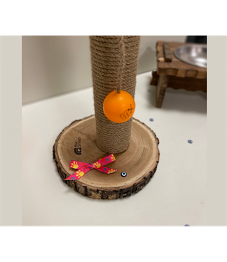 Kedi Tırmalama Tahtası Oyun Topu ve Ponpon Hediyeli BuShop Doğal Ağaç Yükseklik 42 cm  Fangorn