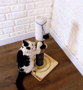 Kedi tırmalama tahtası Kedi tırmanma tahtası 55cm, Doğal Ahşap, Premium Kalite 3 Egzotik Renk