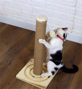 Kedi tırmanma tahtası Kedi tırmalama tahtası  55cm, Doğal Ahşap, Premium Kalite Kahverengi