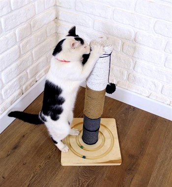 Kedi tırmalama tahtası Kedi tırmanma tahtası 55cm, Doğal Ahşap, Premium Kalite 3 Egzotik Renk