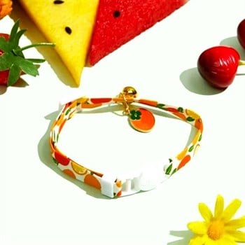 Kedi ve Köpek Boyun Tasması Portakal Desenli S Bushop 