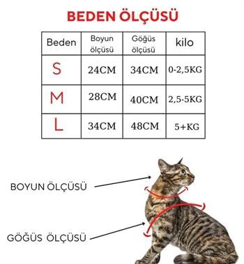 Kedi ve  Köpek Göğüs Tasması Gezdirme Seti 2 Li Kırmızı M BuShop