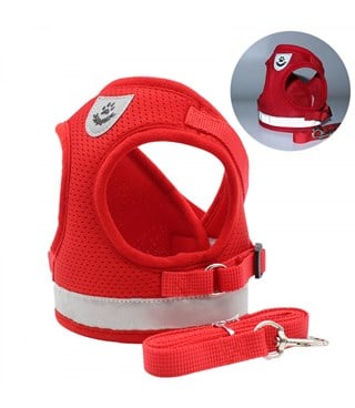 Kedi ve  Köpek Göğüs Tasması Gezdirme Seti 2 Li Kırmızı M BuShop