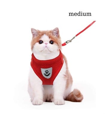 Kedi ve  Köpek Göğüs Tasması Gezdirme Seti 2 Li Kırmızı M BuShop