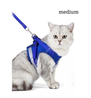 Kedi ve  Köpek Göğüs Tasması Gezdirme Seti 2 Li Mavi M BuShop